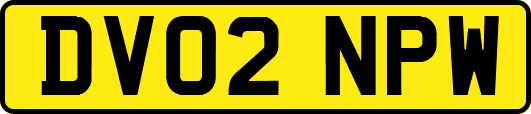 DV02NPW