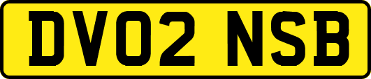 DV02NSB