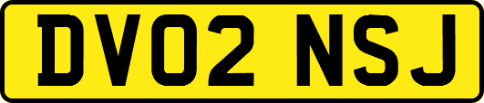 DV02NSJ
