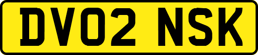 DV02NSK