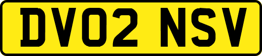 DV02NSV