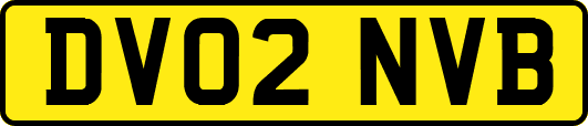 DV02NVB
