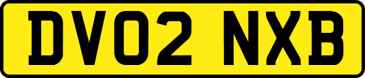 DV02NXB