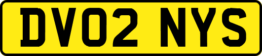 DV02NYS