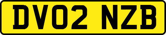 DV02NZB