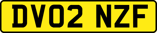 DV02NZF