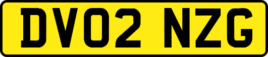 DV02NZG