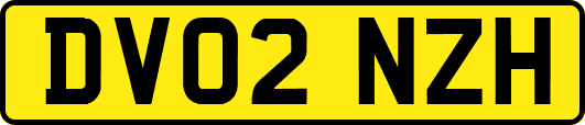 DV02NZH