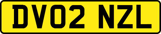 DV02NZL