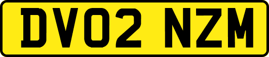 DV02NZM