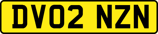 DV02NZN
