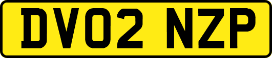 DV02NZP