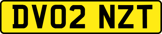 DV02NZT