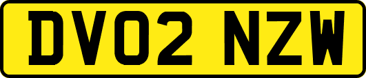 DV02NZW