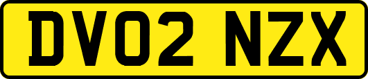 DV02NZX