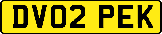 DV02PEK