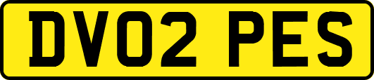 DV02PES