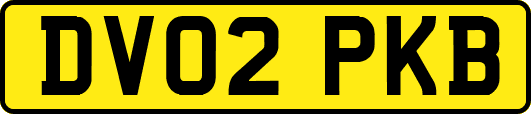 DV02PKB