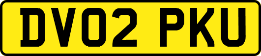 DV02PKU