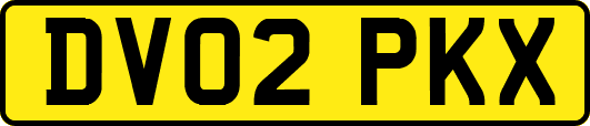 DV02PKX
