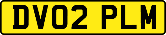 DV02PLM