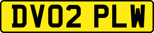 DV02PLW