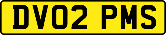 DV02PMS