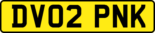 DV02PNK