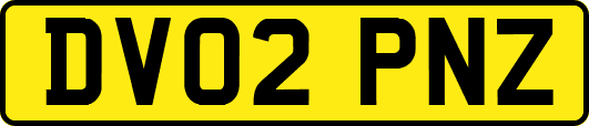 DV02PNZ