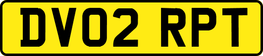 DV02RPT
