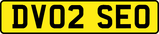 DV02SEO