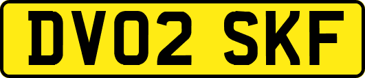 DV02SKF