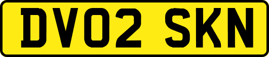 DV02SKN