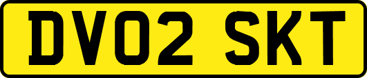 DV02SKT