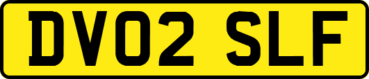 DV02SLF