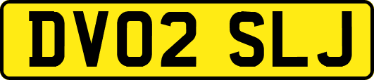 DV02SLJ