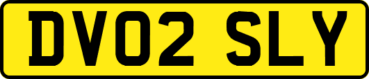DV02SLY