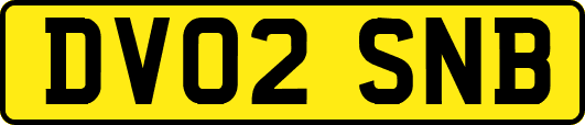 DV02SNB