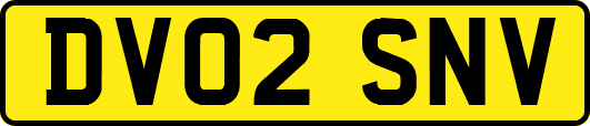 DV02SNV