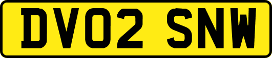 DV02SNW