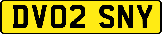 DV02SNY