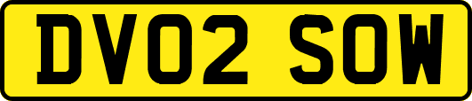 DV02SOW