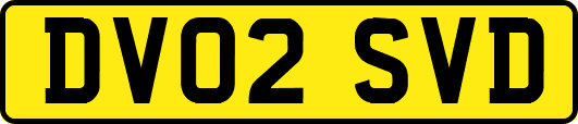 DV02SVD