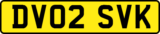 DV02SVK