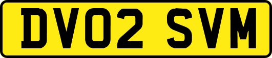 DV02SVM