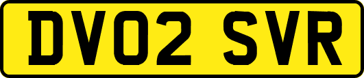 DV02SVR