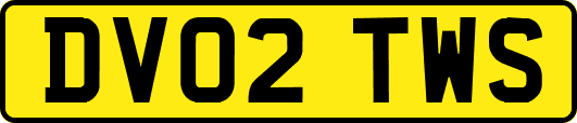 DV02TWS
