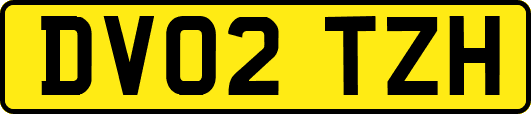 DV02TZH