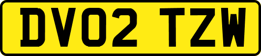 DV02TZW