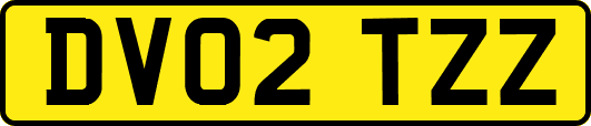 DV02TZZ